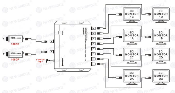Amplificador amplificador da distribuição de SD/HD/3G-SDI 1 a 4 da distribuição de HD-SDI